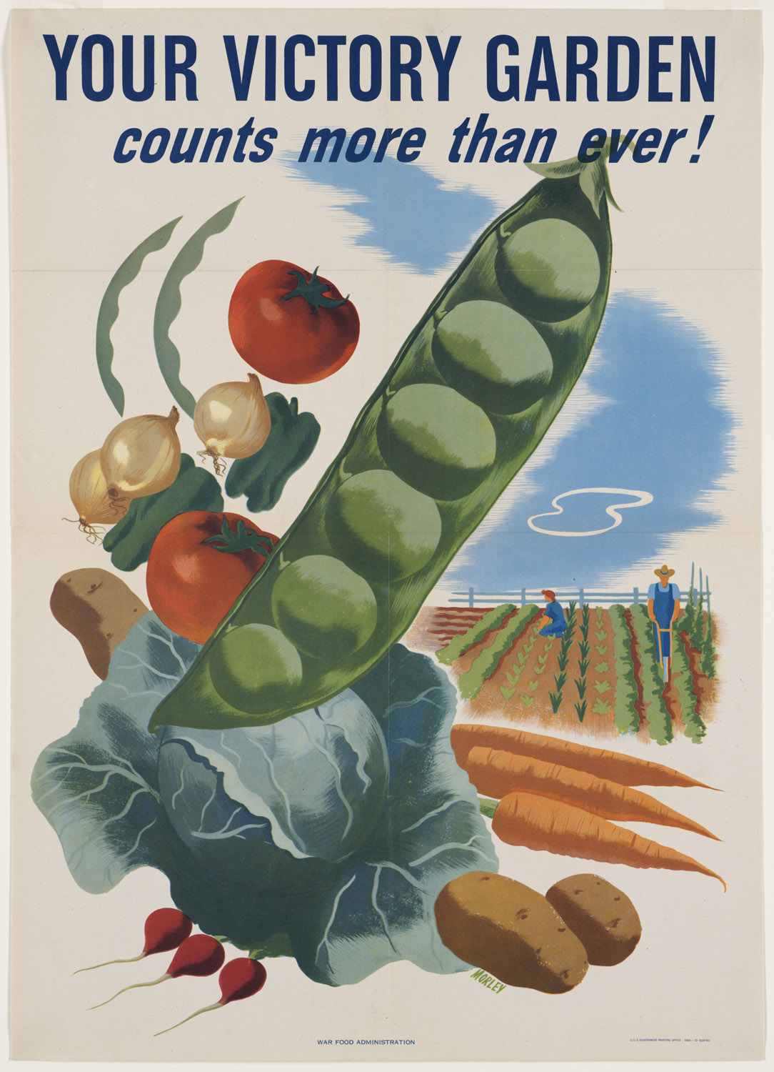 1945 Poster, Your Victory Garden counts more than ever