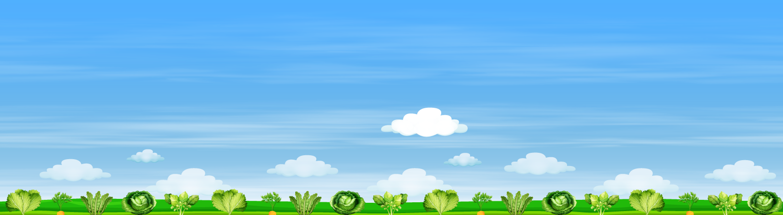 vegetables growing on a farm under a cheerful blue sky