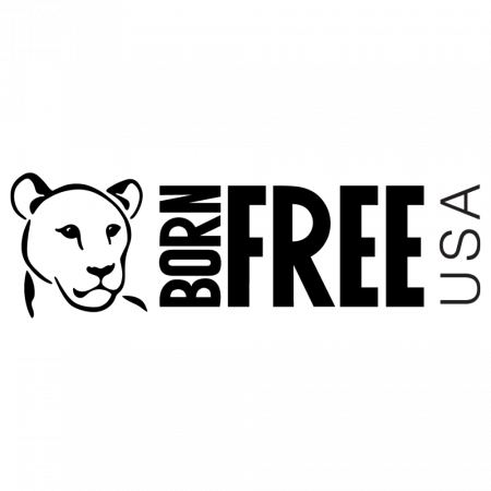 Born Free USA with lion
