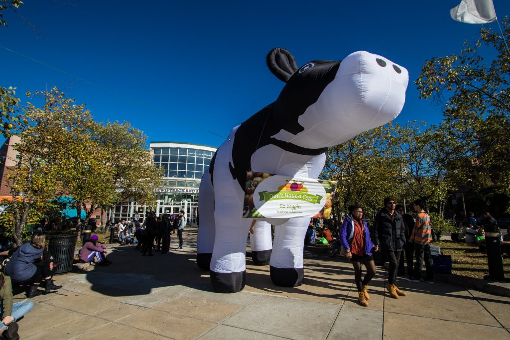 giant inflatable cow at Boston Veg Food Fest 2019