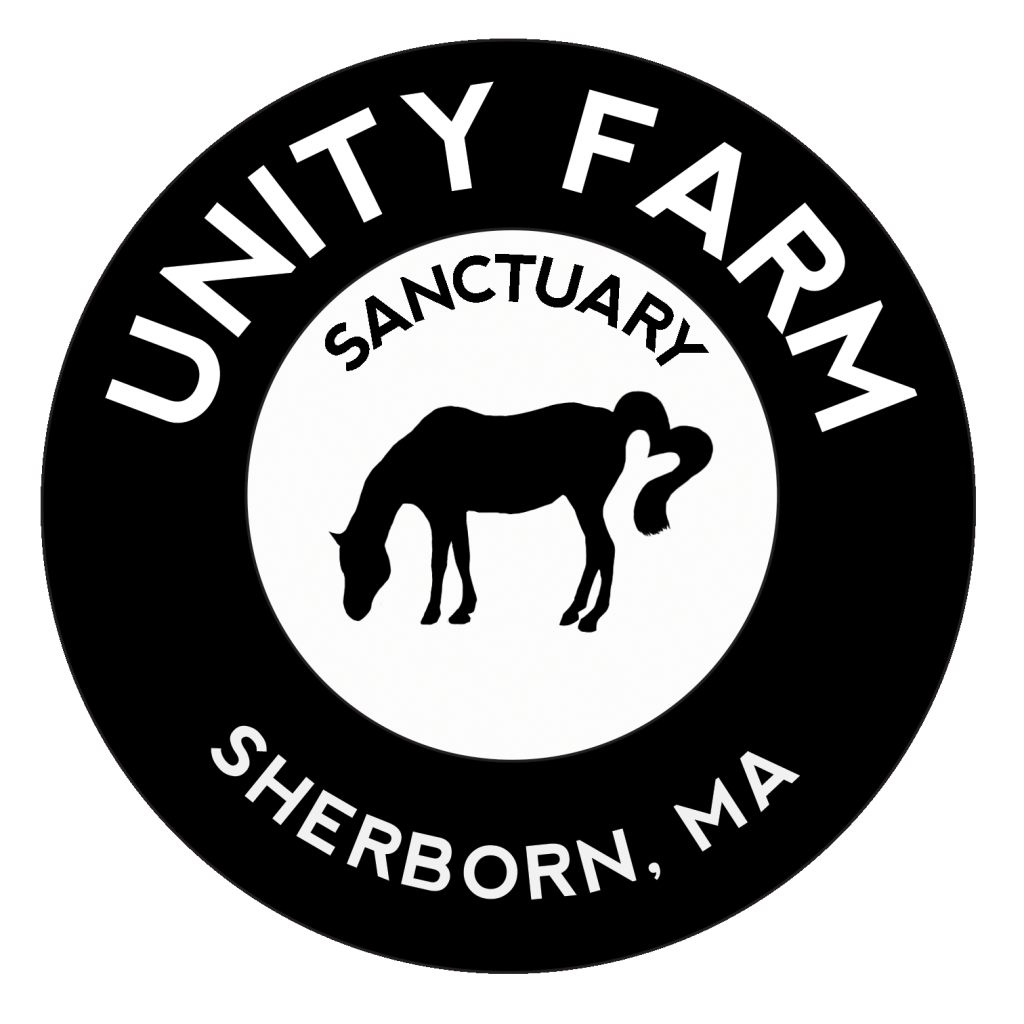 Unity Farm Sanctuary, Sherborne Mass