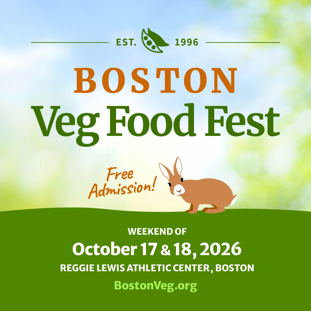 square graphic, Boston Veg Food Fest, October 17 and 18, 2026, Reggie Lewis Athletic Center, Boston, Free Admission
