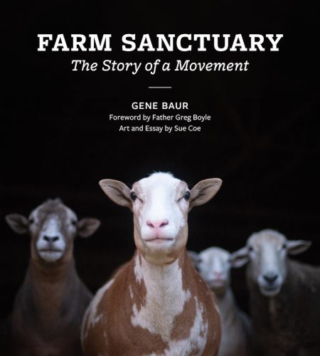 Book cover, Farm Sanctuary, the story of a movement, Gene Baur, forward by Father Greg Boyle, Art and Essay by Sue Coe
