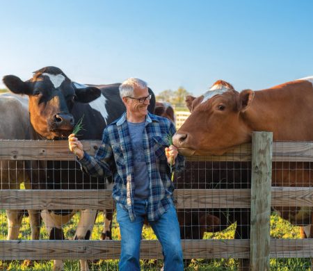 Gene Baur smiling while feeding grass to two cows