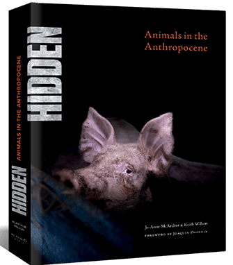 Book, Hidden, Animals in the Anthropocene, Jo Anne McArthur