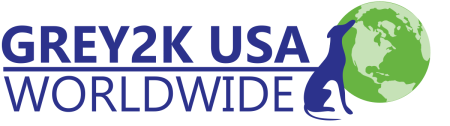 Grey 2K USA worldwide