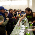 vegan food samples at Boston Veg Food Fest 2013