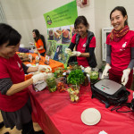 Boston Veg Food Fest 2015
