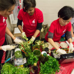 Boston Veg Food Fest 2015 food vendor