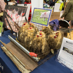 Citizens for Farm Animal Protection table at Boston Veg Food Fest 2015