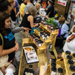 Boston Veg Food Fest 2016 attendees