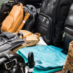 vegan luggage