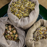 bags of sprouts